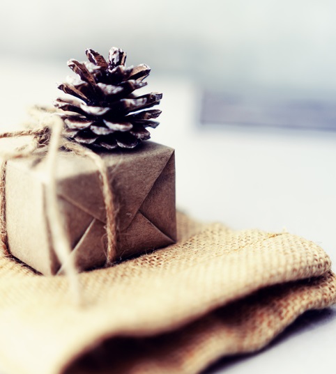 gift with pine cone on top of 